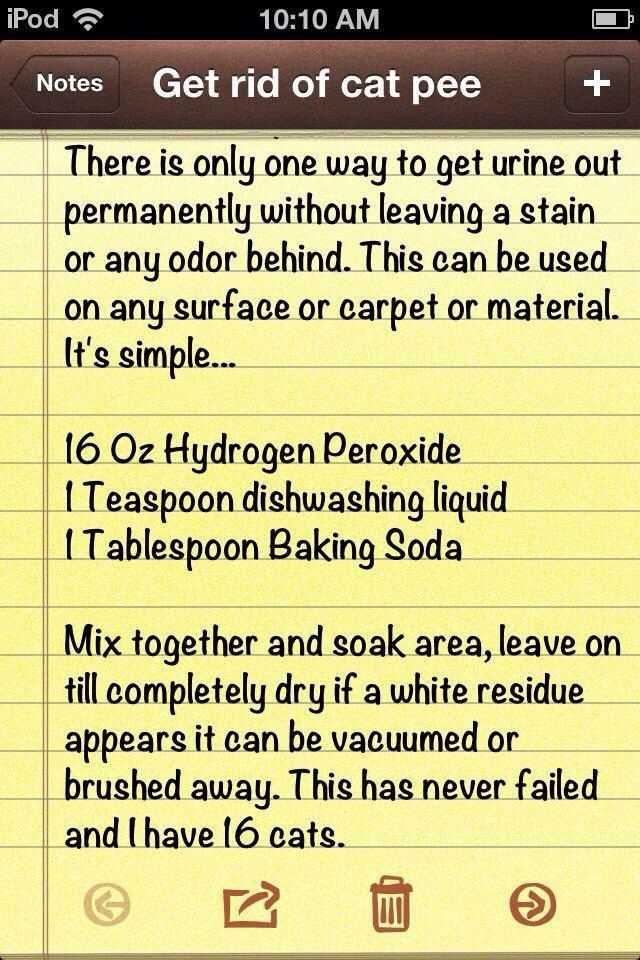 Apply Homemade Cleaning Solutions