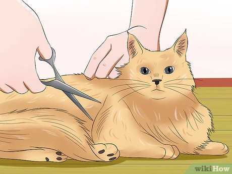 Dealing with Mats and Tangles