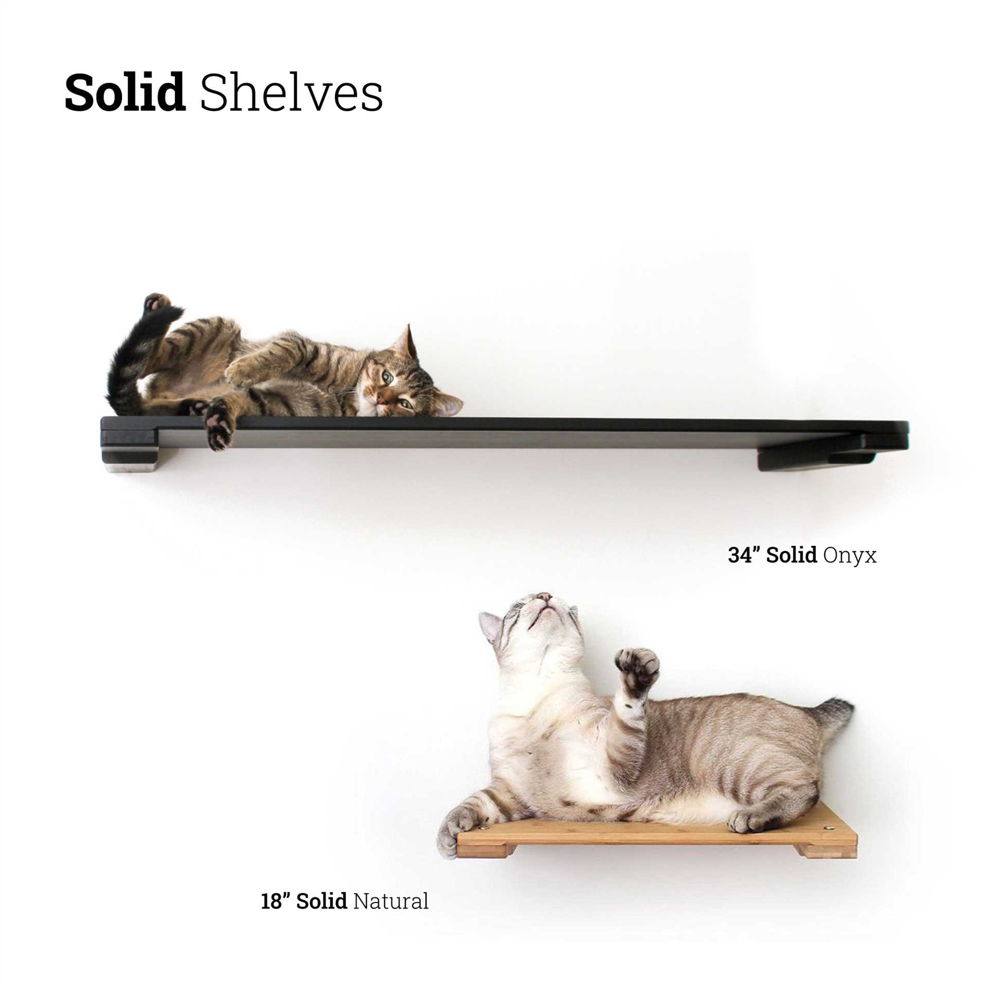 Creating Alternative High Spaces for Feline Friends