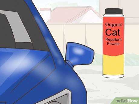 Natural Repellents