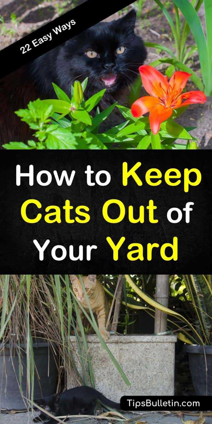 Natural Repellents