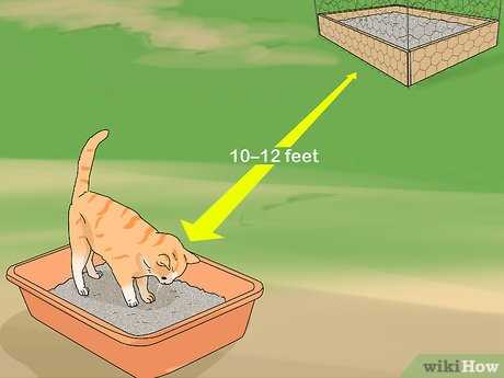 Creating Alternative Spaces for Feline Fun
