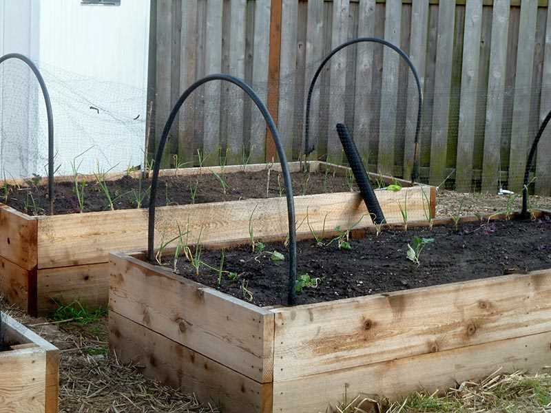 Using Netting or Wire