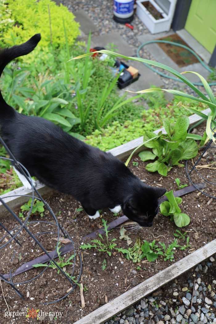 Implementing Scent and Sound Strategies