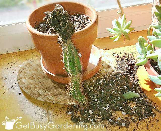 Establishing Boundaries