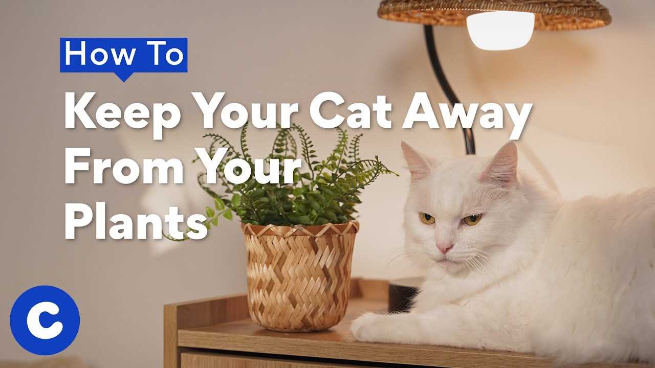 Redirecting Attention