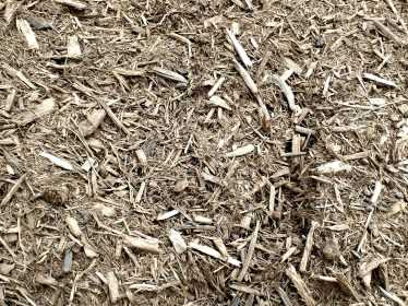 Creating Physical Barriers to Protect Your Mulch