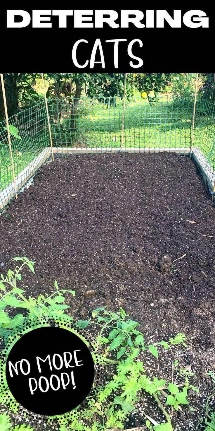 Creating Physical Barriers for Garden Protection