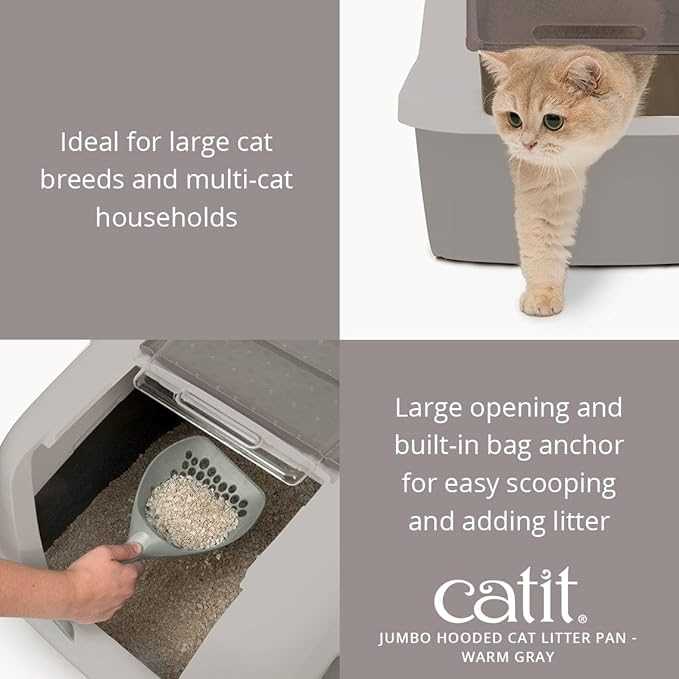 Training Your Dog to Avoid the Litter Box