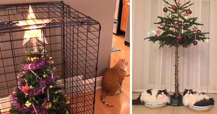Choosing Cat-Repellent Decorations for Your Christmas Tree