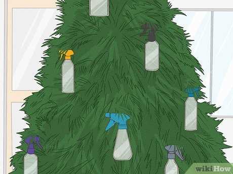 Training Your Feline to Steer Clear of the Holiday Display