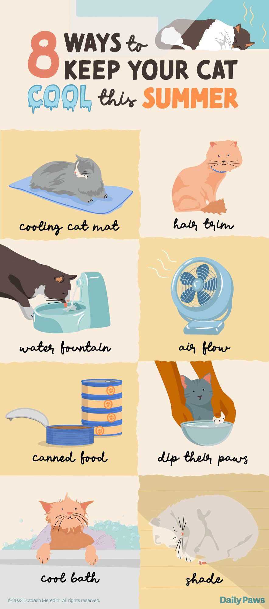 Cool Treats