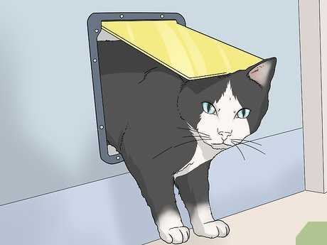 Creating a Deterrent Environment