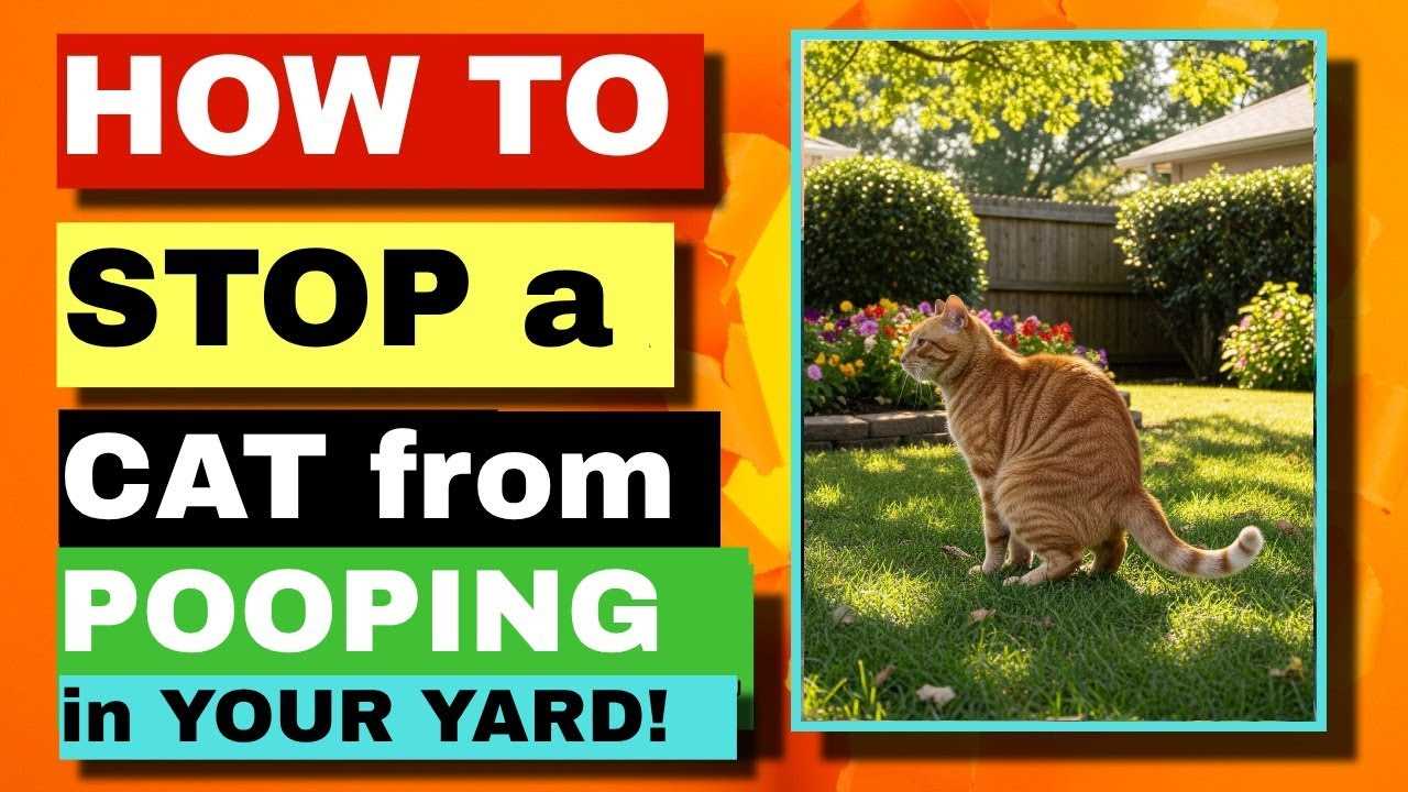 Implementing Natural Deterrents for Felines