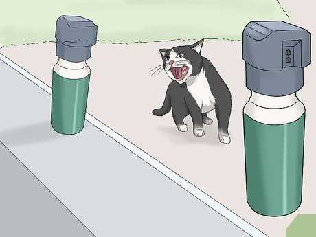 Utilizing Deterrents and Repellents to Protect Your Property