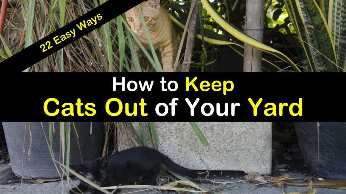Choosing the Right Barriers for Your Yard