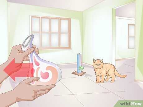 Incorporating Playtime into Your Daily Routine