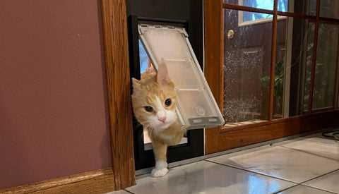 Window Screens and Protective Films