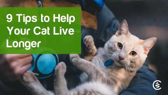 Monitoring Health at Home