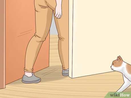Using Deterrents and Repellents