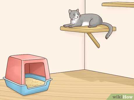 Strategic Furniture Arrangement