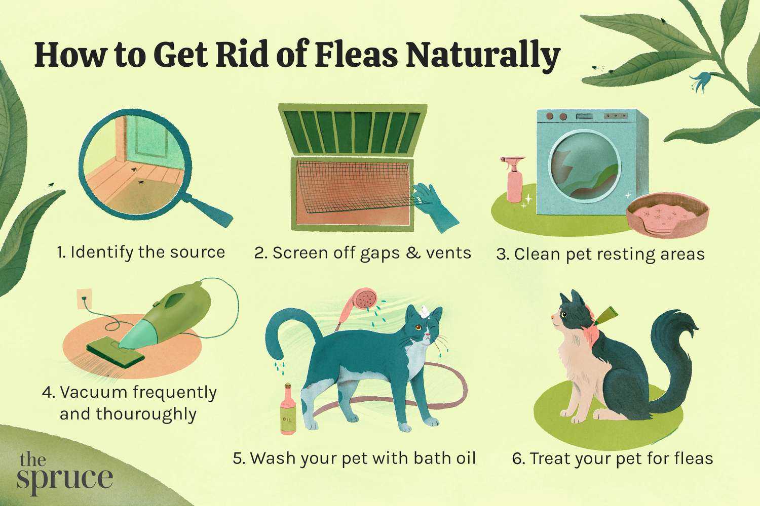 Maintaining a Flea-Free Environment at Home