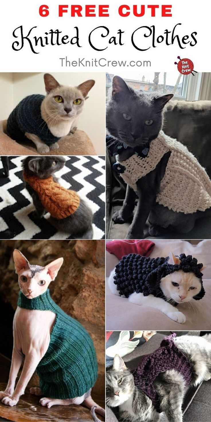 Fun Patterns and Colors