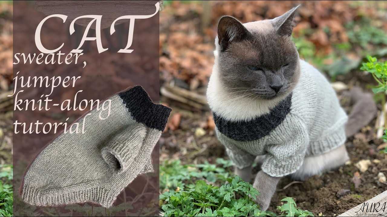 Choosing the Right Yarn