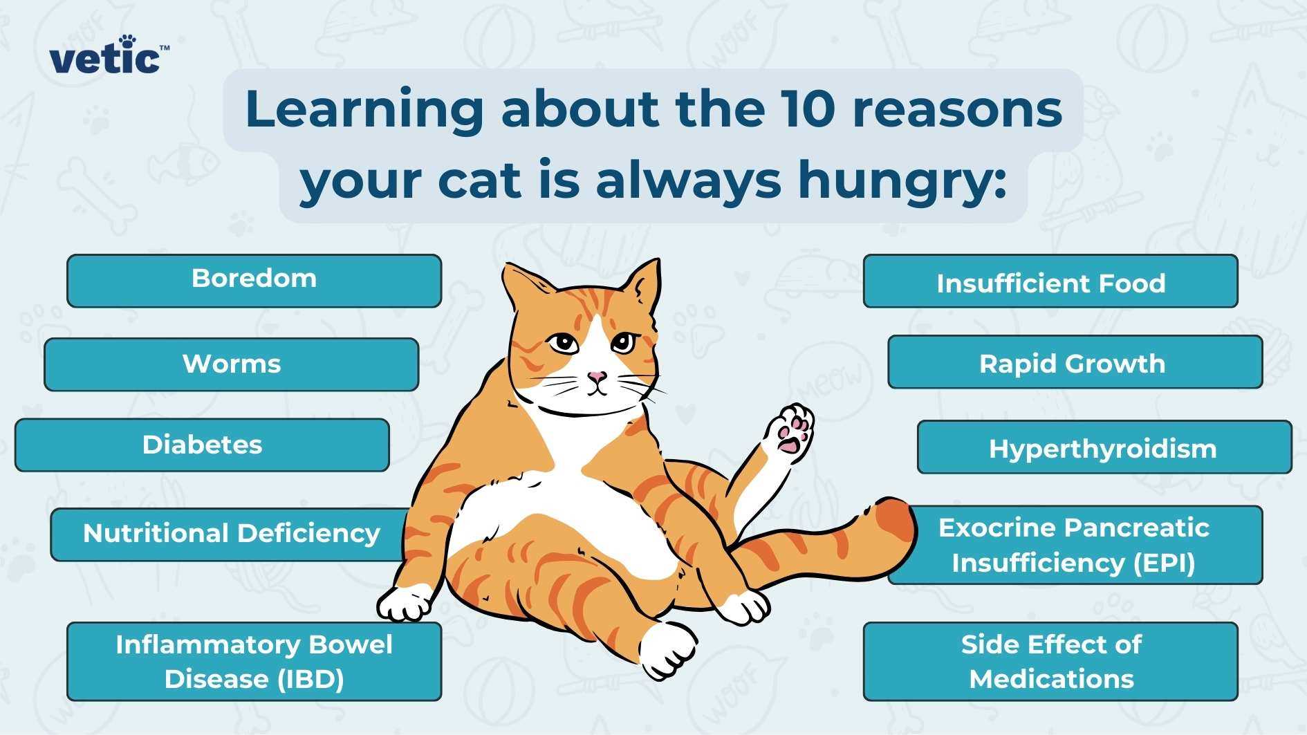 Recognizing Behavioral Signs of Hunger in Cats