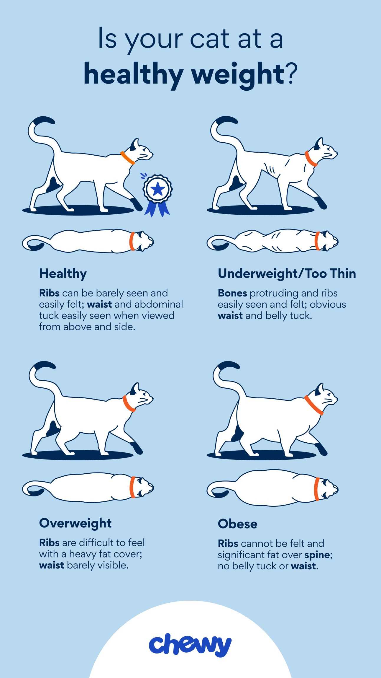 Assessing Body Condition Score