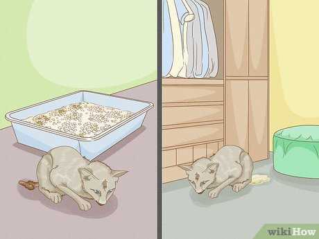 Health and Safety Considerations