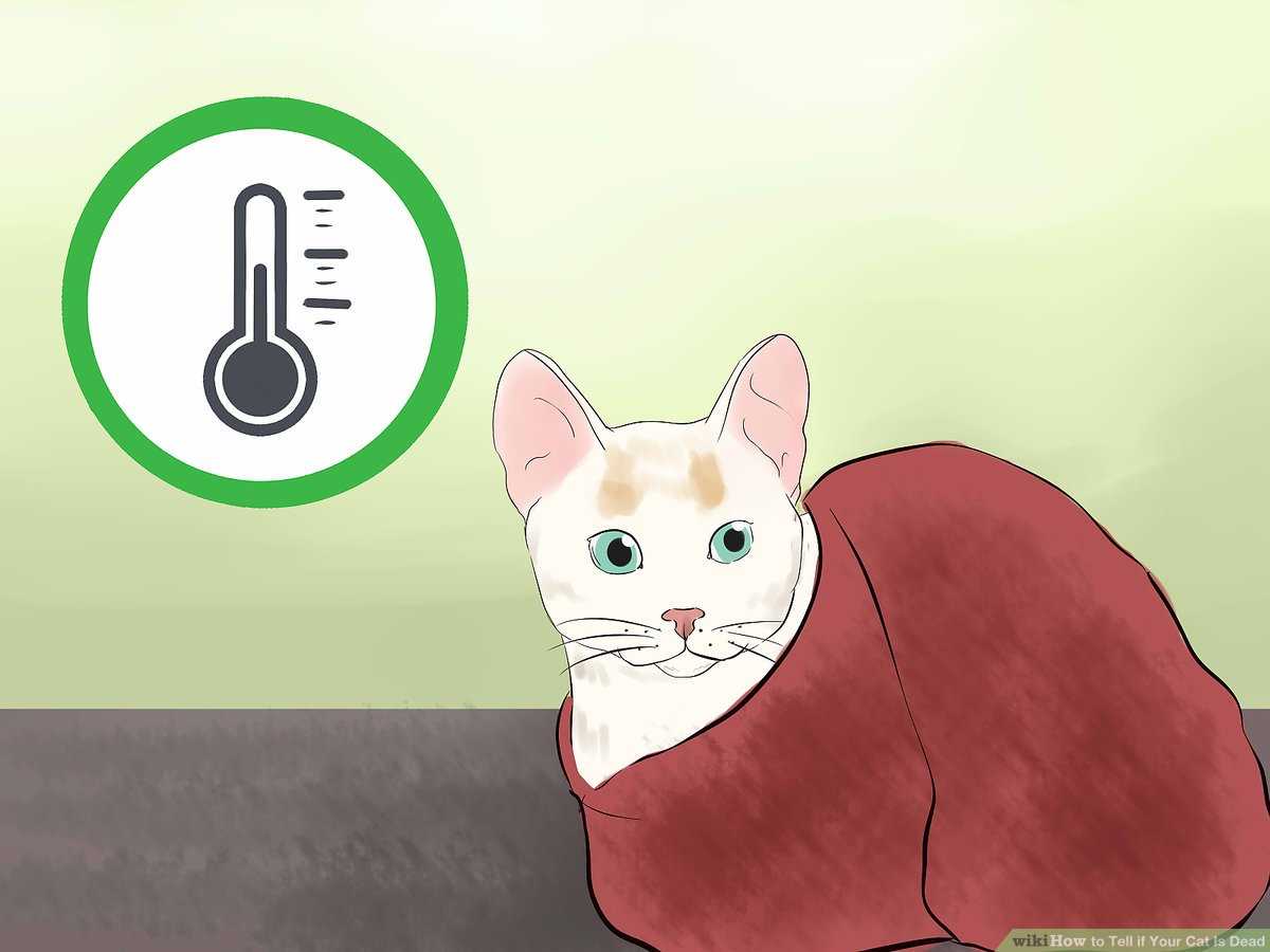 Physical Symptoms to Monitor