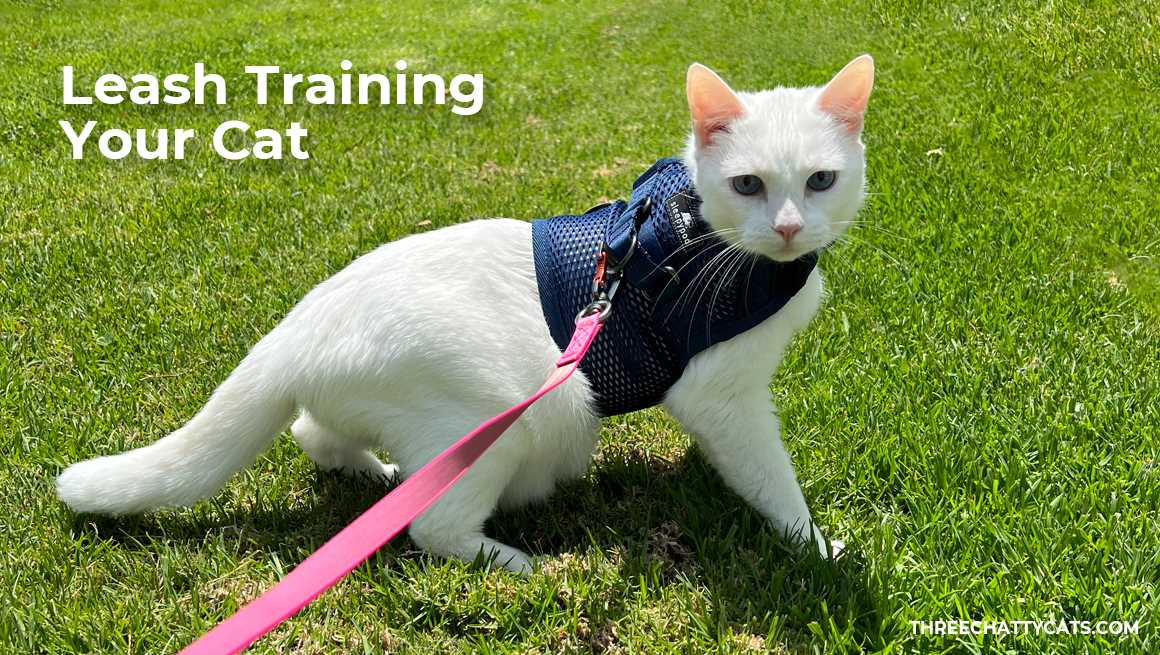 Outdoor Exploration