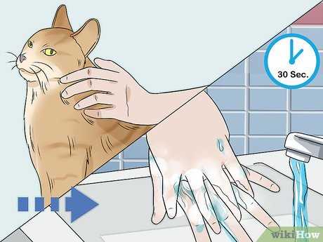 Choosing the Right Breed for Allergy Sufferers