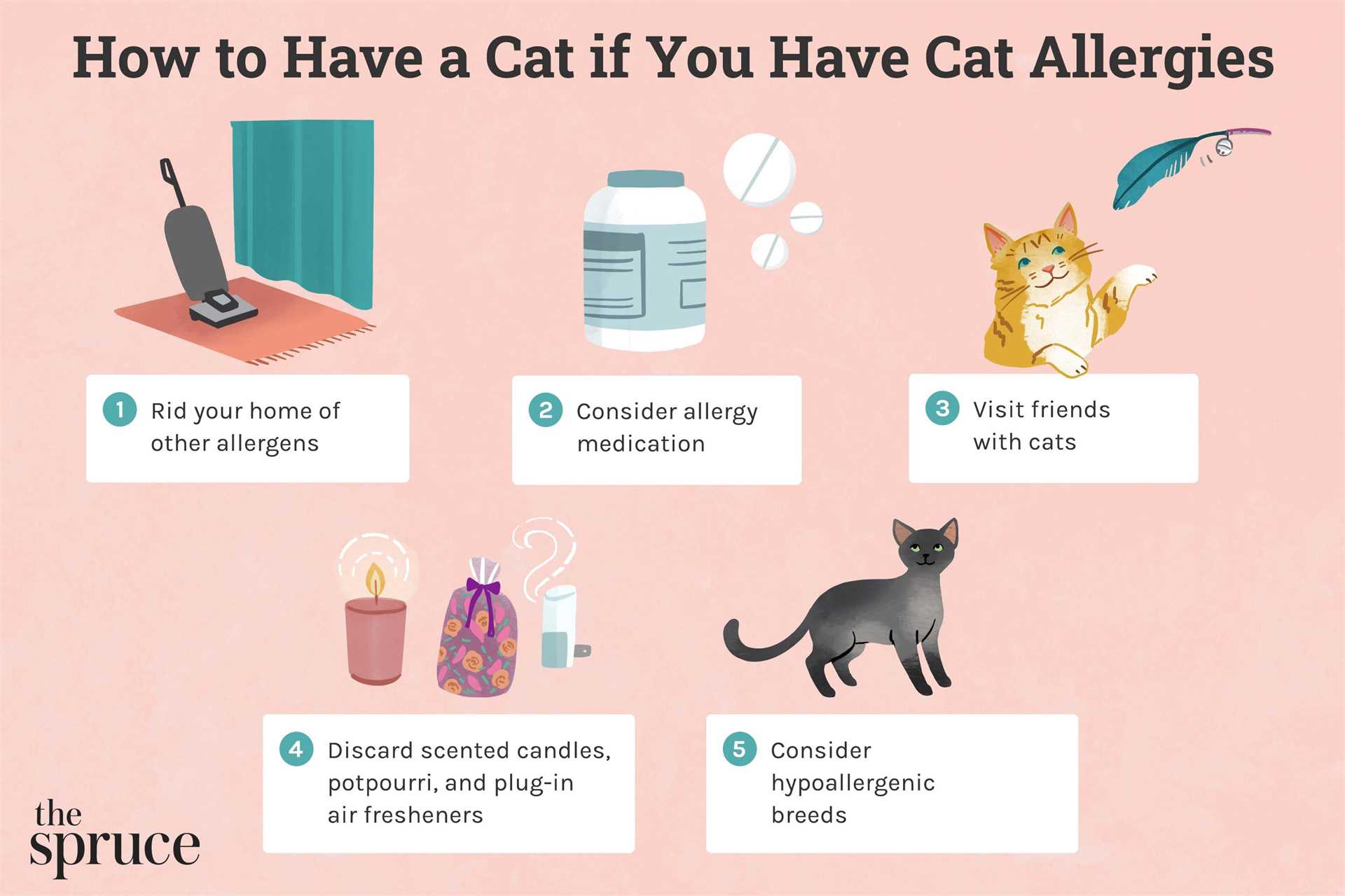 Managing Allergic Reactions and Cat Care Routine