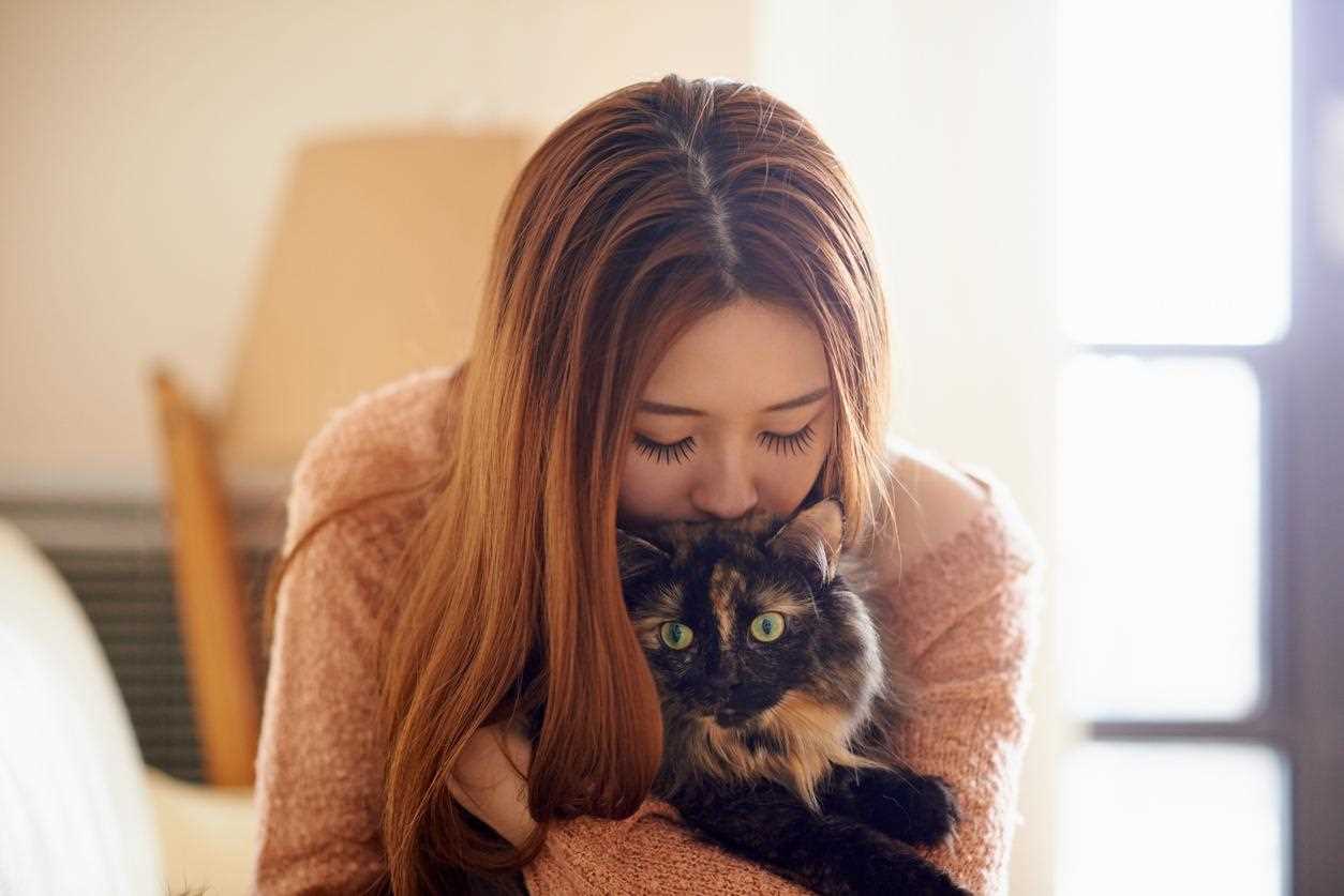 Consulting the Vet