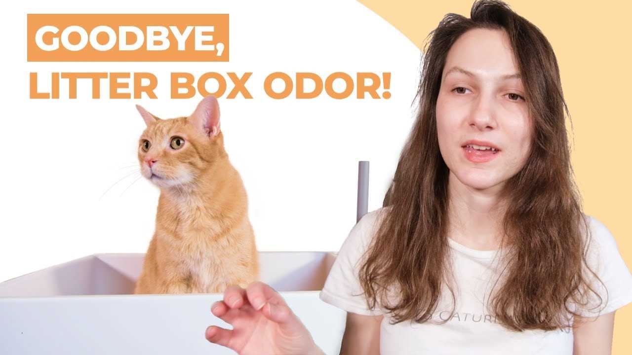 Deep Cleaning Routine