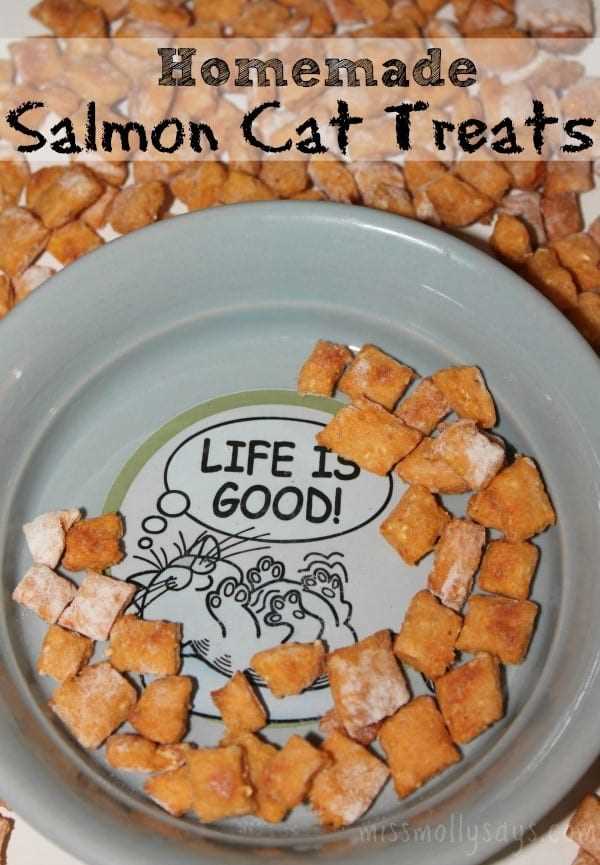 Using Catnip and Other Flavor Enhancements in Snacks