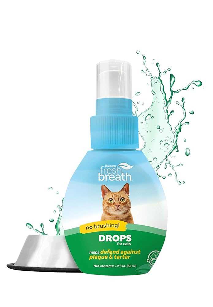 Identify the Causes of Bad Breath in Cats