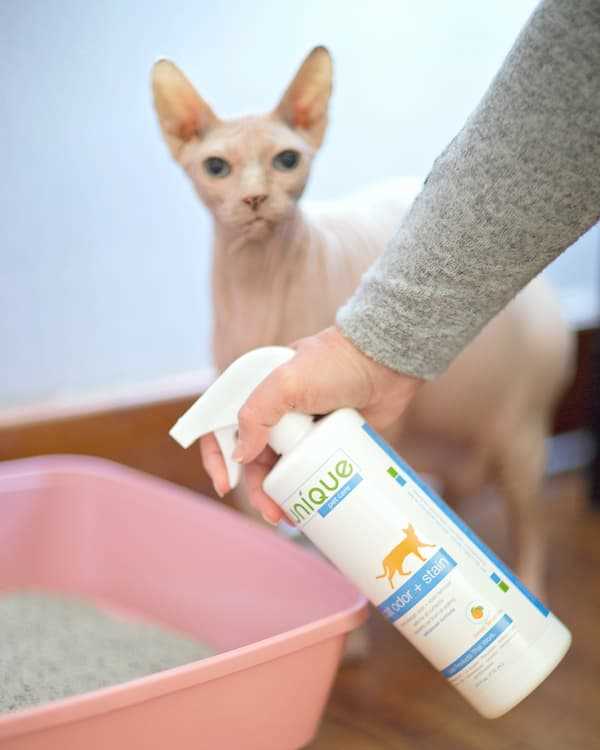 Wash Bedding and Toys Frequently