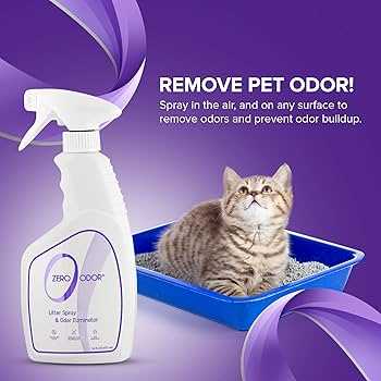 Grooming and Health Considerations for Your Cat