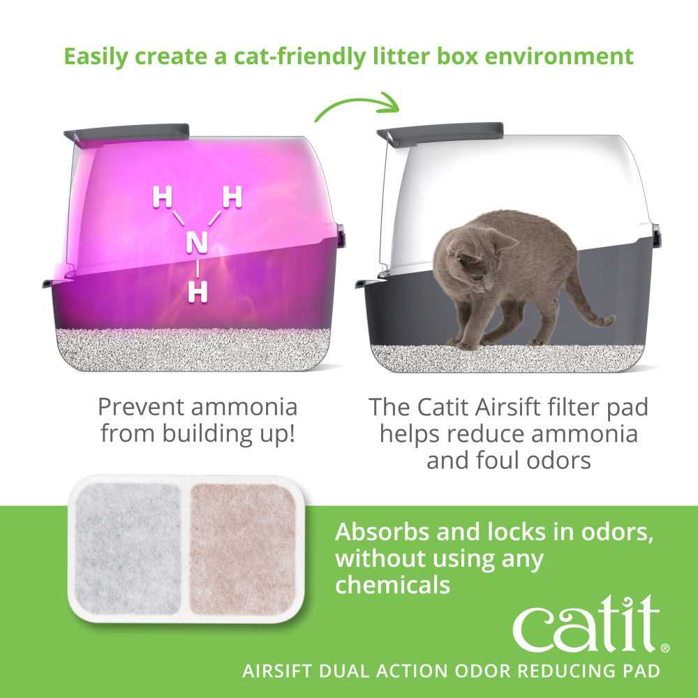 Choosing the Right Cat Litter Material