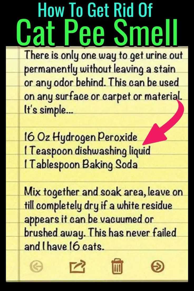 Choosing the Right Cleaning Solution