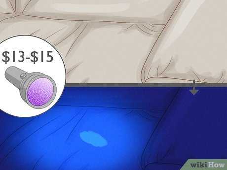Neutralize Odor with Baking Soda