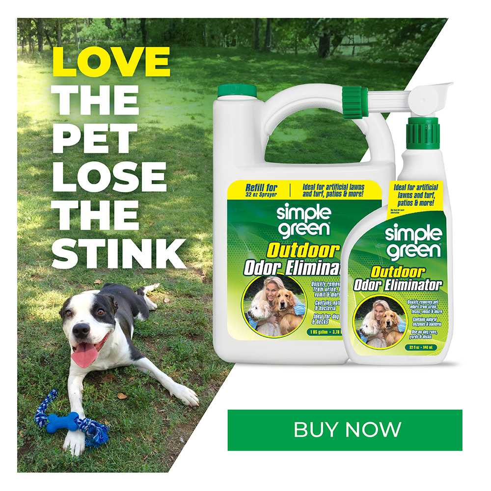 Ways to Eliminate Unpleasant Odors from Outdoor Areas