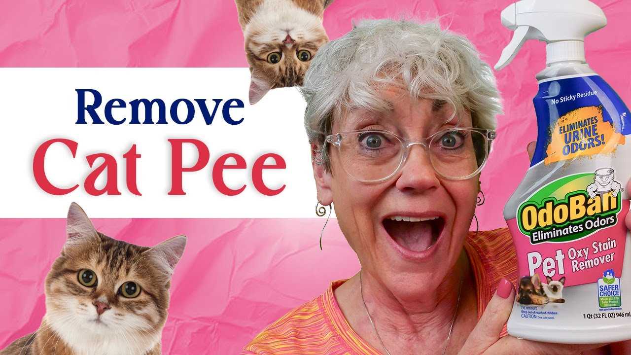 Use Additional Techniques for Stubborn Odors