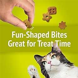 Understanding the Basic Vocabulary for Feline Snacks