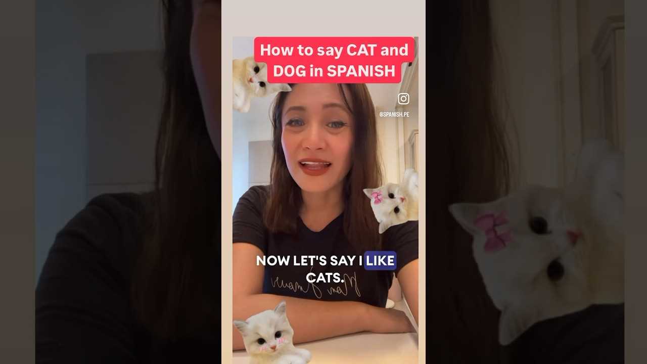 Popular Brands of Feline Snacks in Spanish-Speaking Countries