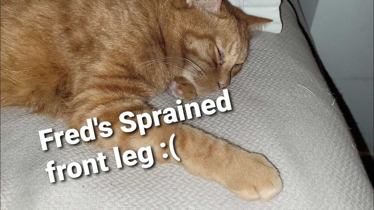 Steps for Effective Bandaging