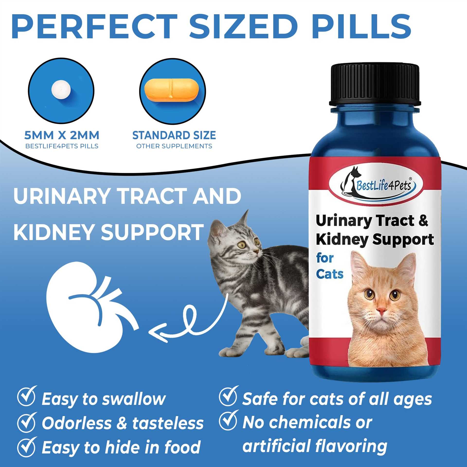 Herbs and Supplements for UTI Prevention